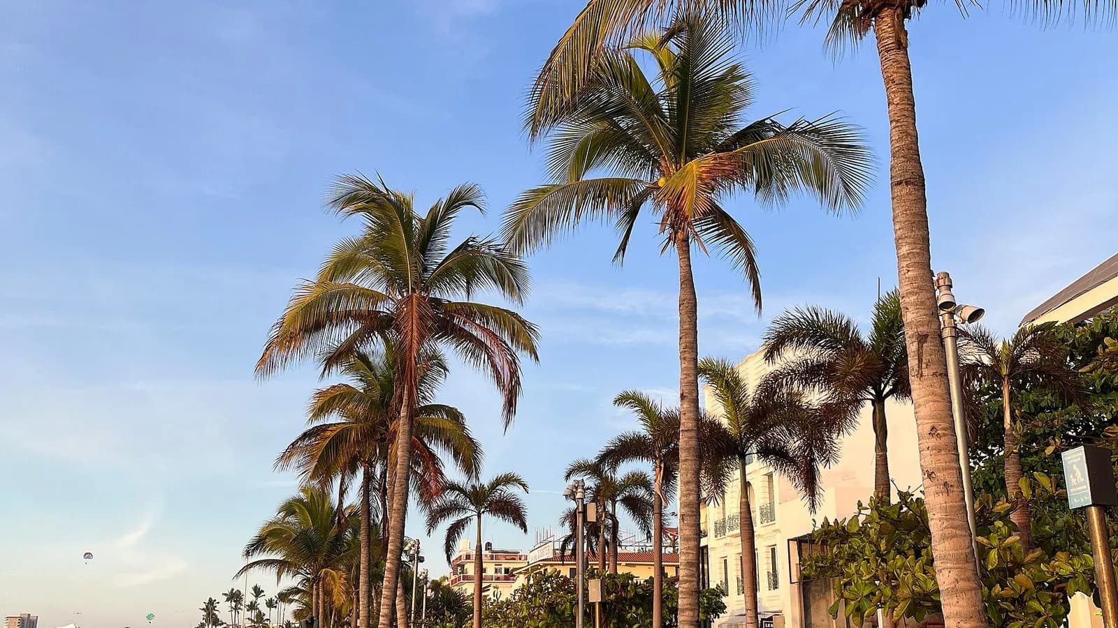 Palm trees and hotel buildings along the Malecon seafront in Puerto Vallarta, Mexico, photographed in February 2023, a file photograph illustrative of the resort area and not of Hurricane Simon's approach