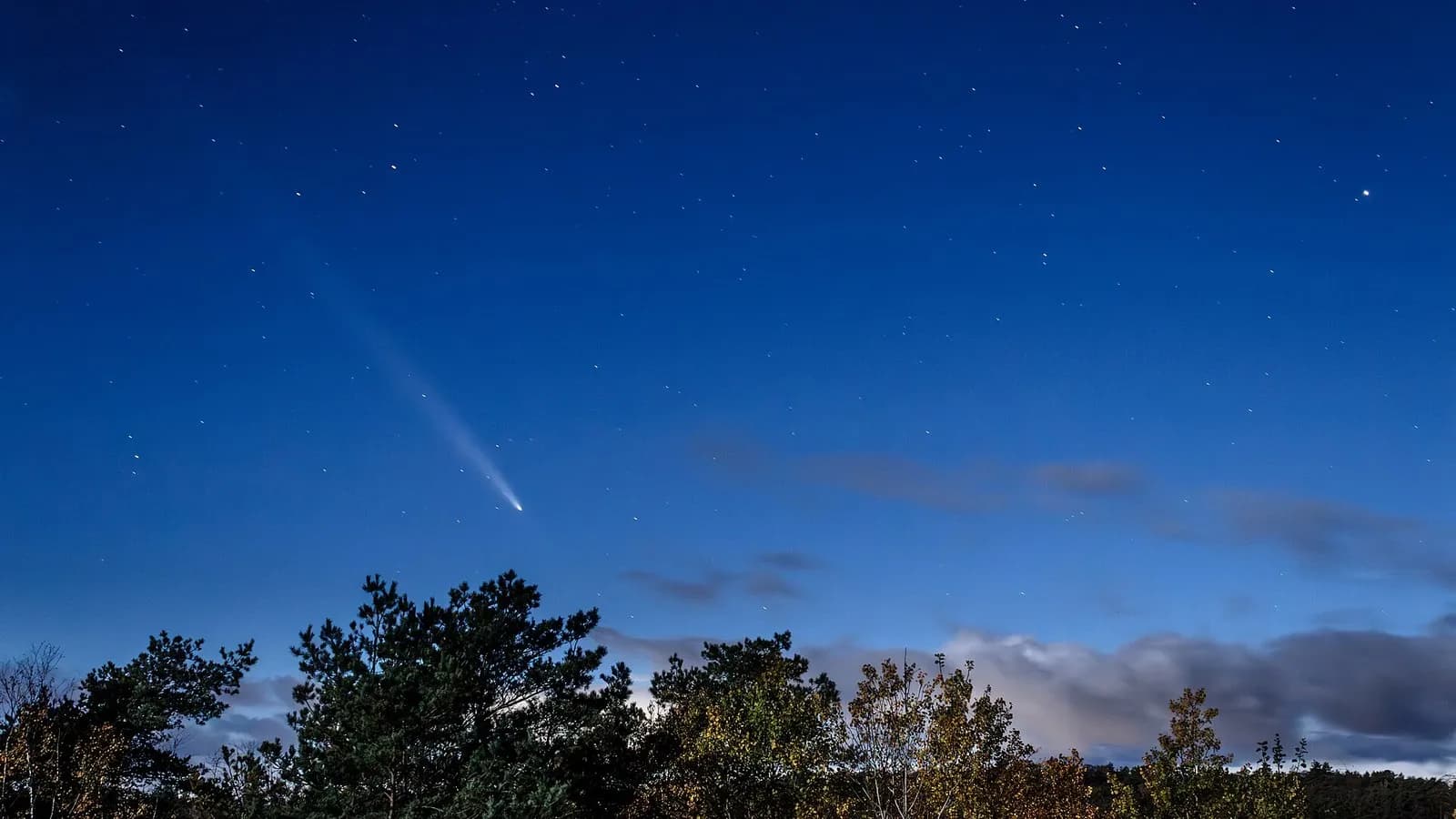 Comet Tsuchinshan-ATLAS with its tail in the night sky over trees near Lysekil, Sweden, photographed on 15 October 2024, a file photograph of a different comet and not of 3I/ATLAS