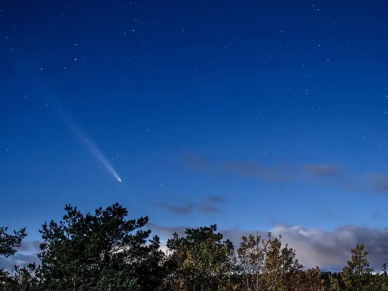 Comet Tsuchinshan-ATLAS with its tail in the night sky over trees near Lysekil, Sweden, photographed on 15 October 2024, a file photograph of a different comet and not of 3I/ATLAS