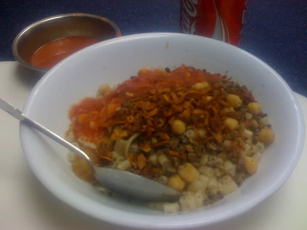 Bowl of koshari with layers of rice, lentils, elbow pasta, fried onions, tomato sauce, and dukka sauce with fresh cilantro garnish
