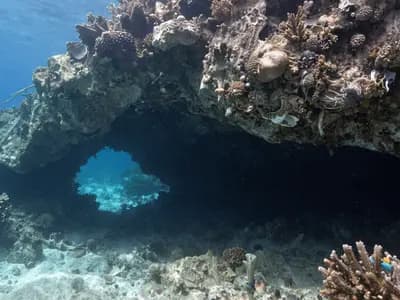 The mouth of an underwater cave in blue water, the passage beyond it dark