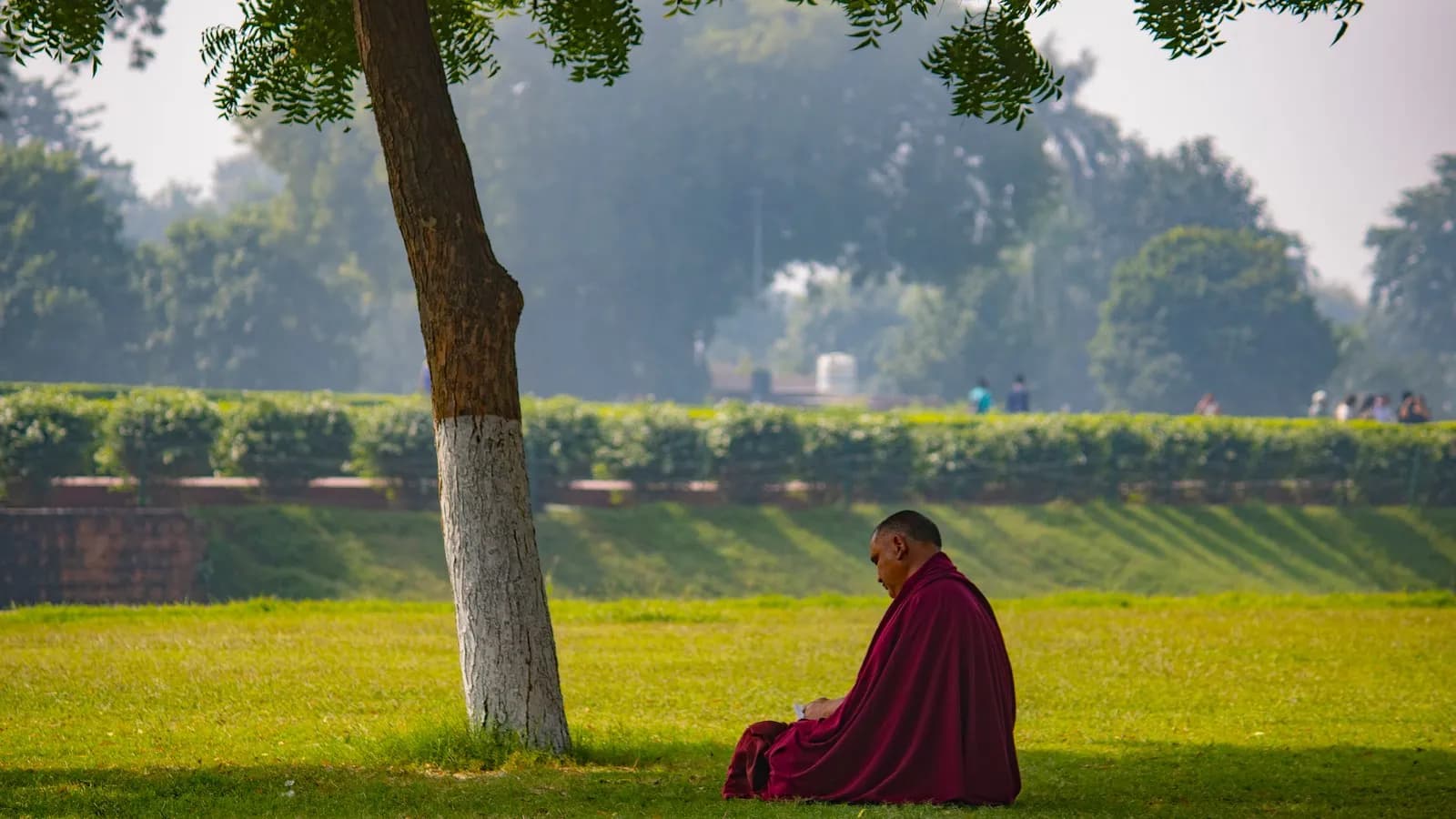 A monk in maroon robes sitting alone in the shade of a tree on open grass, seen from a distance