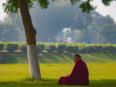 A monk in maroon robes sitting alone in the shade of a tree on open grass, seen from a distance
