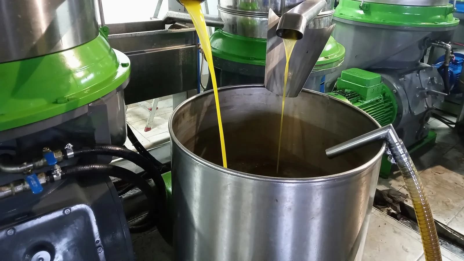 Fresh olive oil running from the press