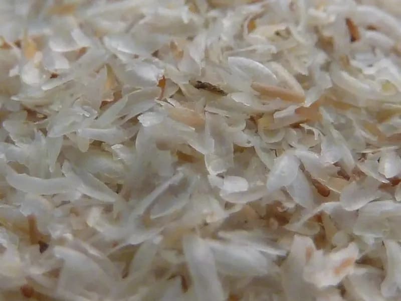 Psyllium seed husks