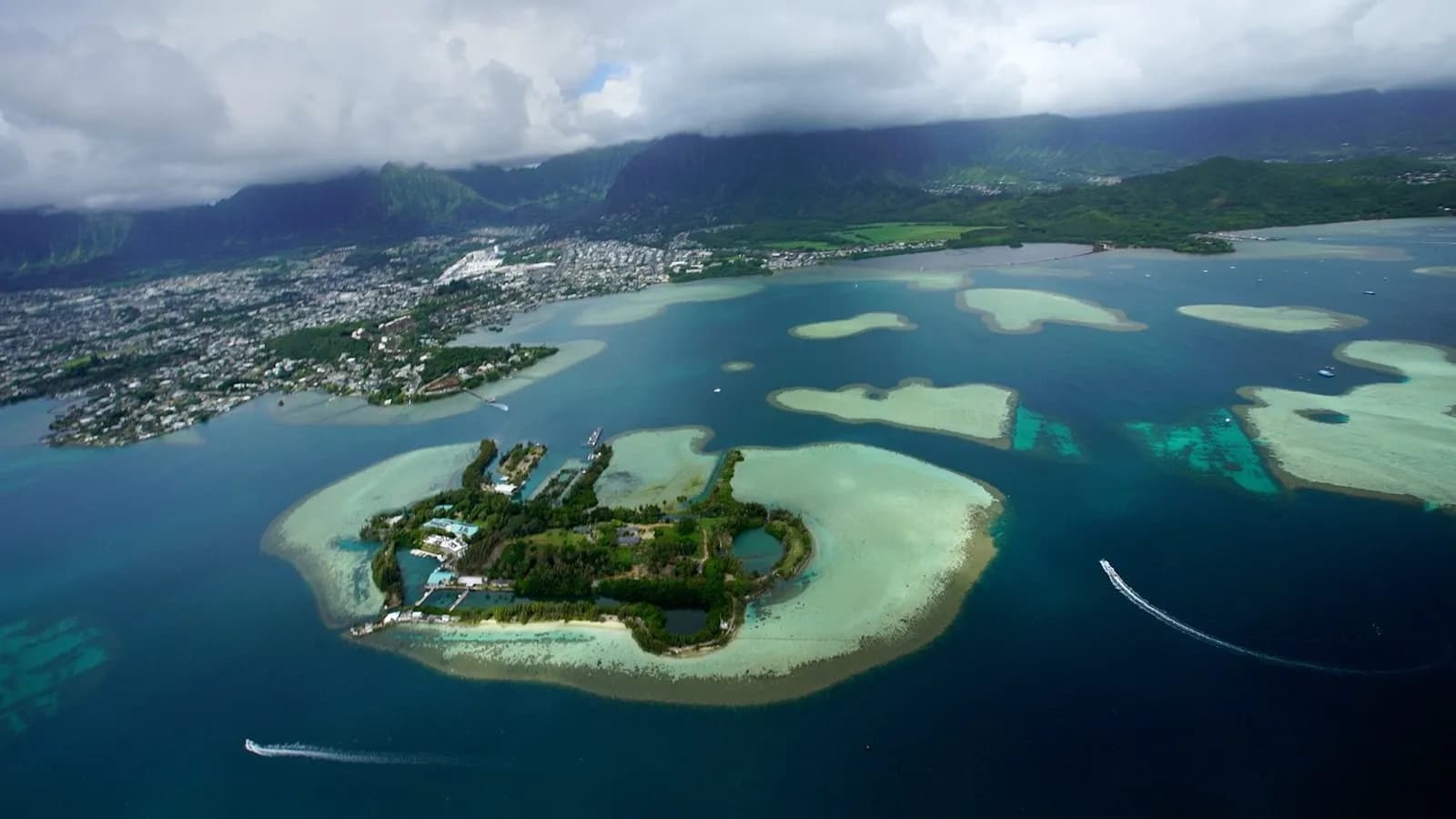 An aerial view of Coconut Island and the reefs of Kaneohe Bay, Oahu, Hawaii, where the experiments took place, photographed on 18 May 2017