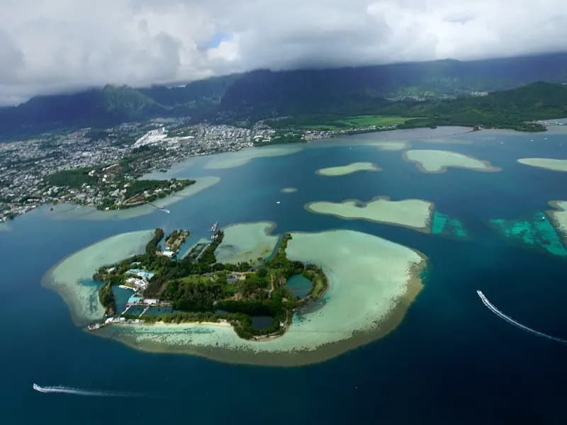 An aerial view of Coconut Island and the reefs of Kaneohe Bay, Oahu, Hawaii, where the experiments took place, photographed on 18 May 2017