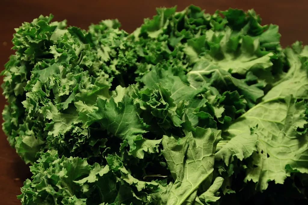 Fresh leafy green vegetables arranged on a surface