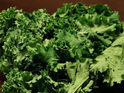 Fresh leafy green vegetables arranged on a surface