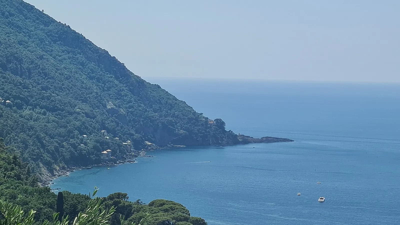 A wooded headland running into a calm blue Ligurian sea at Punta Chiappa near Camogli, Italy, photographed on 29 May 2026, a file photograph of the coast above the site and not of the amphorae or the dive