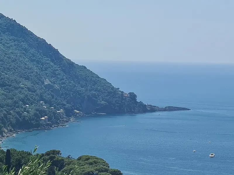 A wooded headland running into a calm blue Ligurian sea at Punta Chiappa near Camogli, Italy, photographed on 29 May 2026, a file photograph of the coast above the site and not of the amphorae or the dive