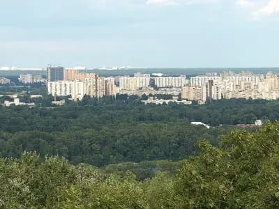 Apartment blocks on the left bank of Kyiv seen over a belt of trees from a hillside viewpoint, photographed on 9 August 2009, a file photograph of the city and not of the overnight attack
