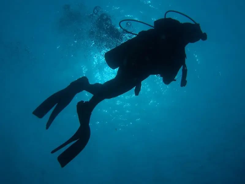 A single scuba diver in silhouette against bright water above, with nobody else in the frame