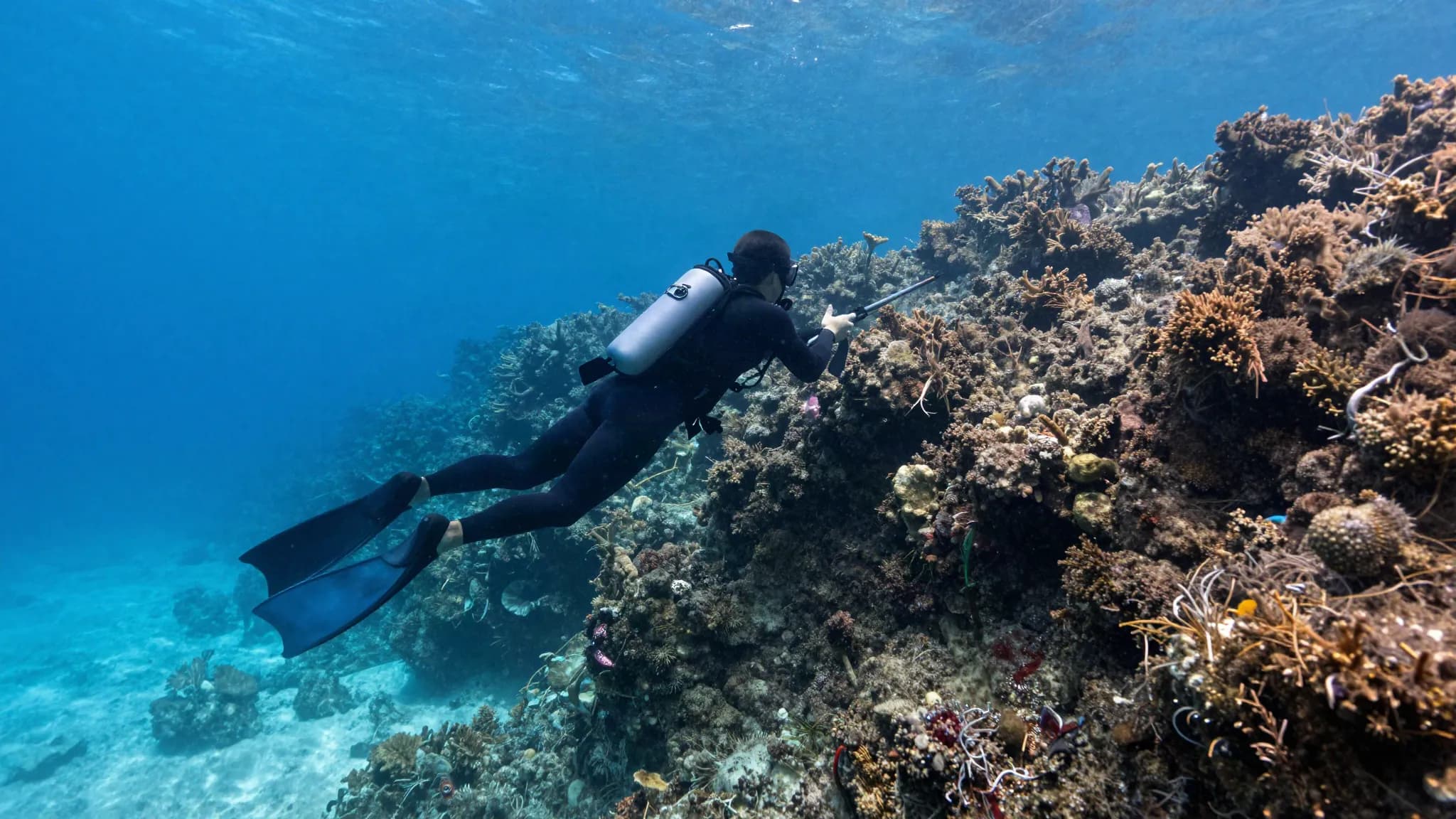 A freediver with a speargun along a rocky reef