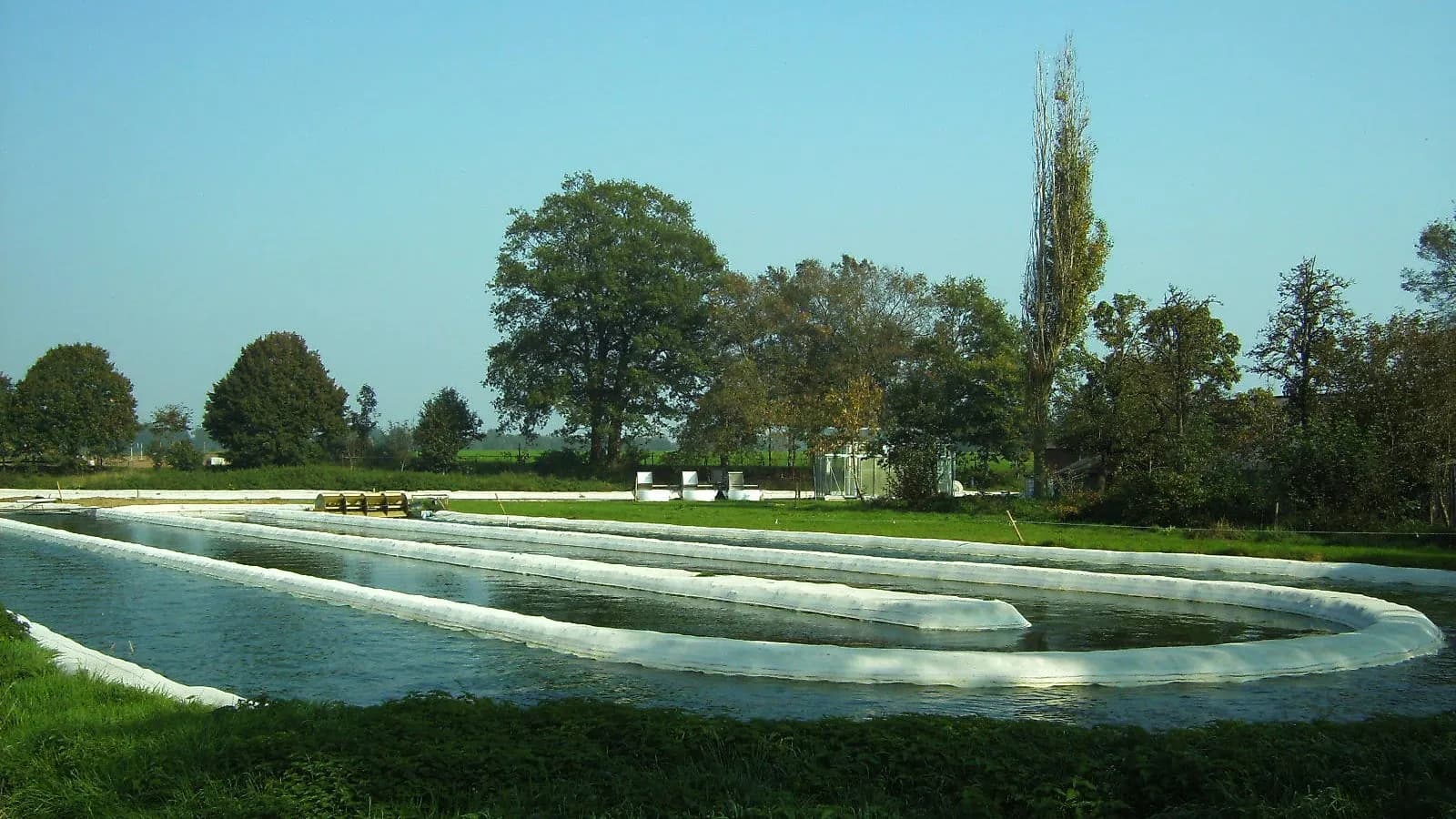 Open raceway ponds used to cultivate microalgae outdoors, the conventional growing method the study set out to improve on