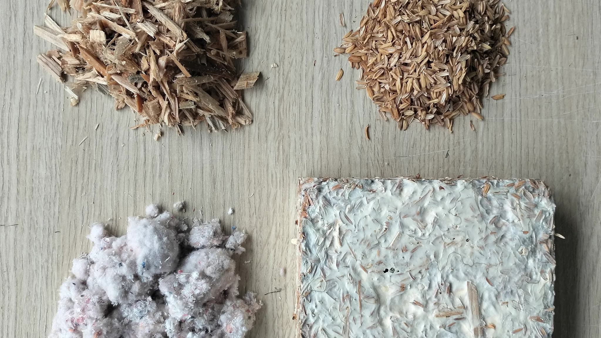 A sample of mycelium-based composite material showing its natural texture and structure