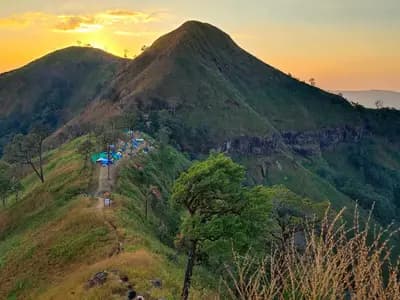 Sunset over the ridgeline at Khao Chang Phueak in Thong Pha Phum National Park, western Thailand, where the new species was found. The plant itself is not pictured