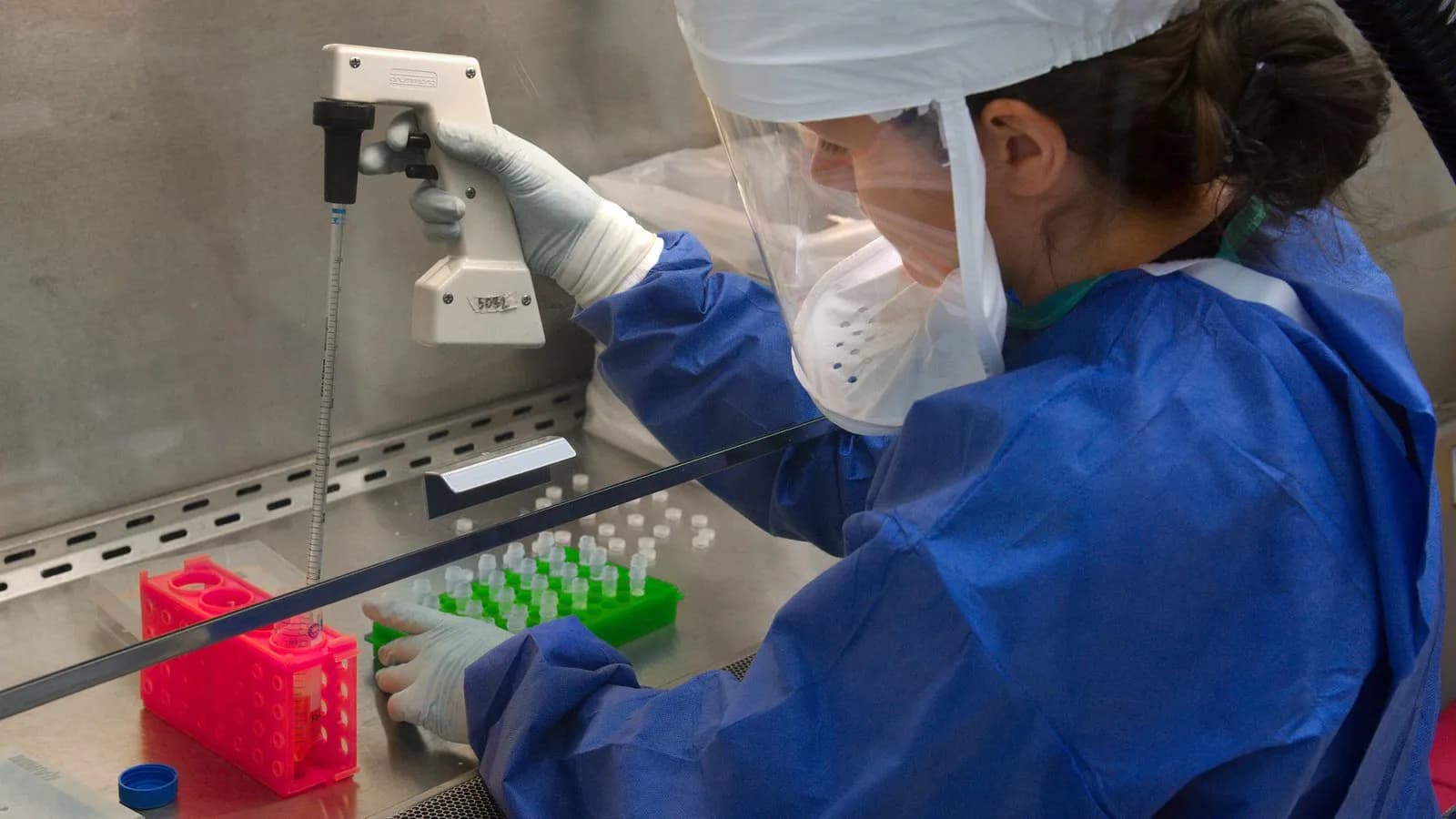 A scientist working at a laboratory bench, illustrative of the kind of animal research described in the study and not this study's own team