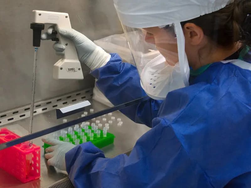 A scientist working at a laboratory bench, illustrative of the kind of animal research described in the study and not this study's own team
