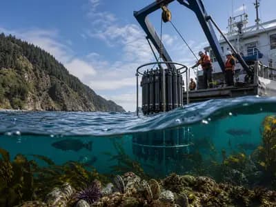 Marine researchers deploying ocean sensors from a vessel above a living coastal ecosystem